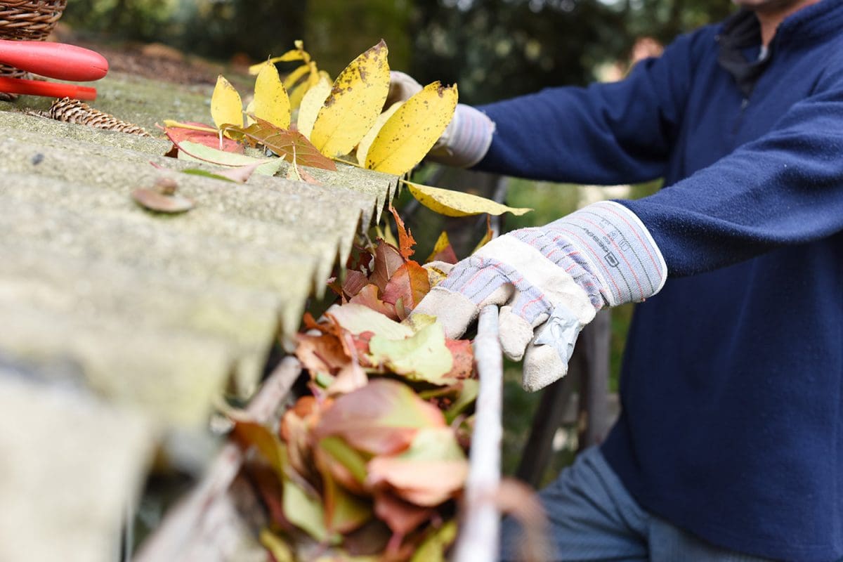 A man cleaning out gutters while wearing work gloves