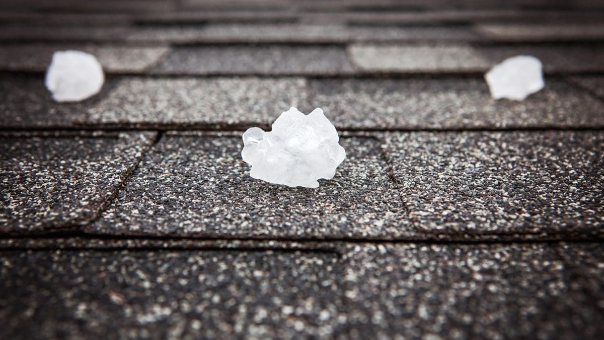 A close-up shot of a roof with hailstones sitting on the shingles